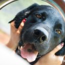 오선농장 이미지