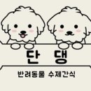 단댕 이미지