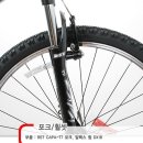 블랙캣