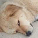 산애들애펜션 이미지