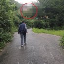 안인펜션 이미지