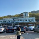 홍삼나라칠곡점 | 부산에서 에버랜드 당일치기 은성관광 후기