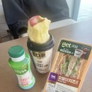 게임랜드(청-4)오동도 내 위치 | (2026.4월) 여수 혼자 여행 후기 - 1박 2일 / 2일차 (오동도 산책, 오동동김밥, 스타벅스, 하멜등대...