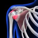 서울영재활의학과의원 이미지