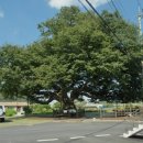 아랫선골 이미지