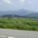 계룡산 한우 농장 이미지