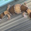 한성동물병원 이미지