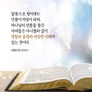 팔이팔