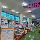 형제수산 | 경주 감포 횟집 포장 형제수산 모듬회 구성 후기