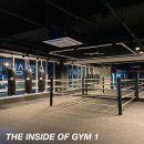 HANBOXING 네이버블로그