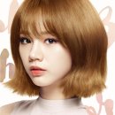 라이킷헤어 네이버블로그