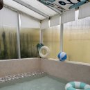 석남리215 이미지