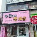 쿵이네 펫세상 이미지