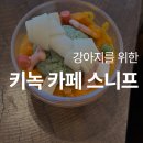 베럴바이트 | 경주 키녹 카페 스니프, 강아지 이용 후기만 모음🐶 (멍파르페, 멍푸치노, 멍타르트 그리고 바이와우 간식)
