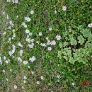 대우네민박 이미지