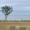 카페보리 이미지