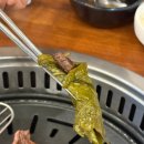 음매&꿀꿀정육점 | 관평동 소고기 음매꿀꿀관평동한우정육식당 한우맛집