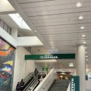 [에코델타시티] 배낭메고 여행영어 | 일본 도쿄 여행 / 집에어 후기 / 머스타드 호텔 시부야 / 요코하마 아레나 / 요요기우에하라