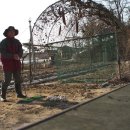 하나골프연습장 이미지