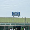 어바웃독 | [묵호]묵호 가성비 숙소 추천/생선구이 맛집 어향/흑임자커피 어바웃커피/무코문어 1936 비추