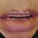 파키스탄 히말라야 트레킹 제1코스 파툰다스 Track(11일차) 이미지