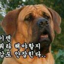 허* - 가평군 문화로 | 허*