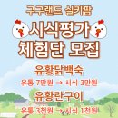 구구랜드 실키팜 이미지