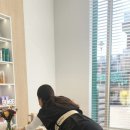 나용필모피부과의원 | 스무하루 스켈프 [광주두피탈모관리추천]