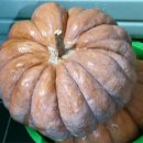 맷돌로만 이미지