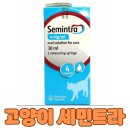 보림당약국