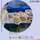 농수산물 도매시장 내 입구 경비실 | 천안시농수산물도매시장 제철 방어회 &amp; 생굴 파티! 싱싱수산에서 입호강한 찐 후기 🐟🦪✨