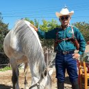 카우보이 이미지