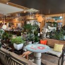 노른자카페 이미지