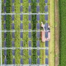 초록 태양광발전소 이미지