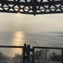 스테이죽도