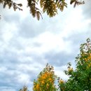 신소양체육공원화장실(주차장) 이미지