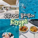 파운드에이전시 | 이집트 후루가다 돌핀투어 가성비 업체 추천 내돈내산 가격 시간 예약 총정리