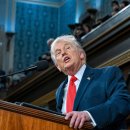 pet 10라 3194 이미지