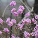 아름따다 이미지