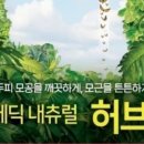 다윤테라피
