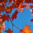 인메디칼 이미지