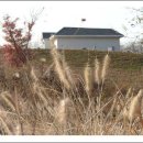 선사유적지 이미지