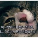 라인공방 이미지