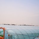 김제상회 이미지