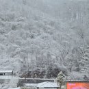 솔트풀펜션 이미지