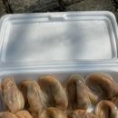 김기석만두찐빵