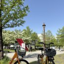 드롭탑(월평점) | [대전/월평 맛집] 신도칼국수 월평점 방문 후기