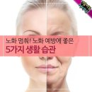 3월29일 뉴스브리핑 이미지