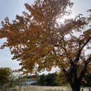 한옥마을 인형극체험관 이미지