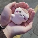 멍멍스쿨 | [주간일기] 2025.12.15 - 2025.12.21